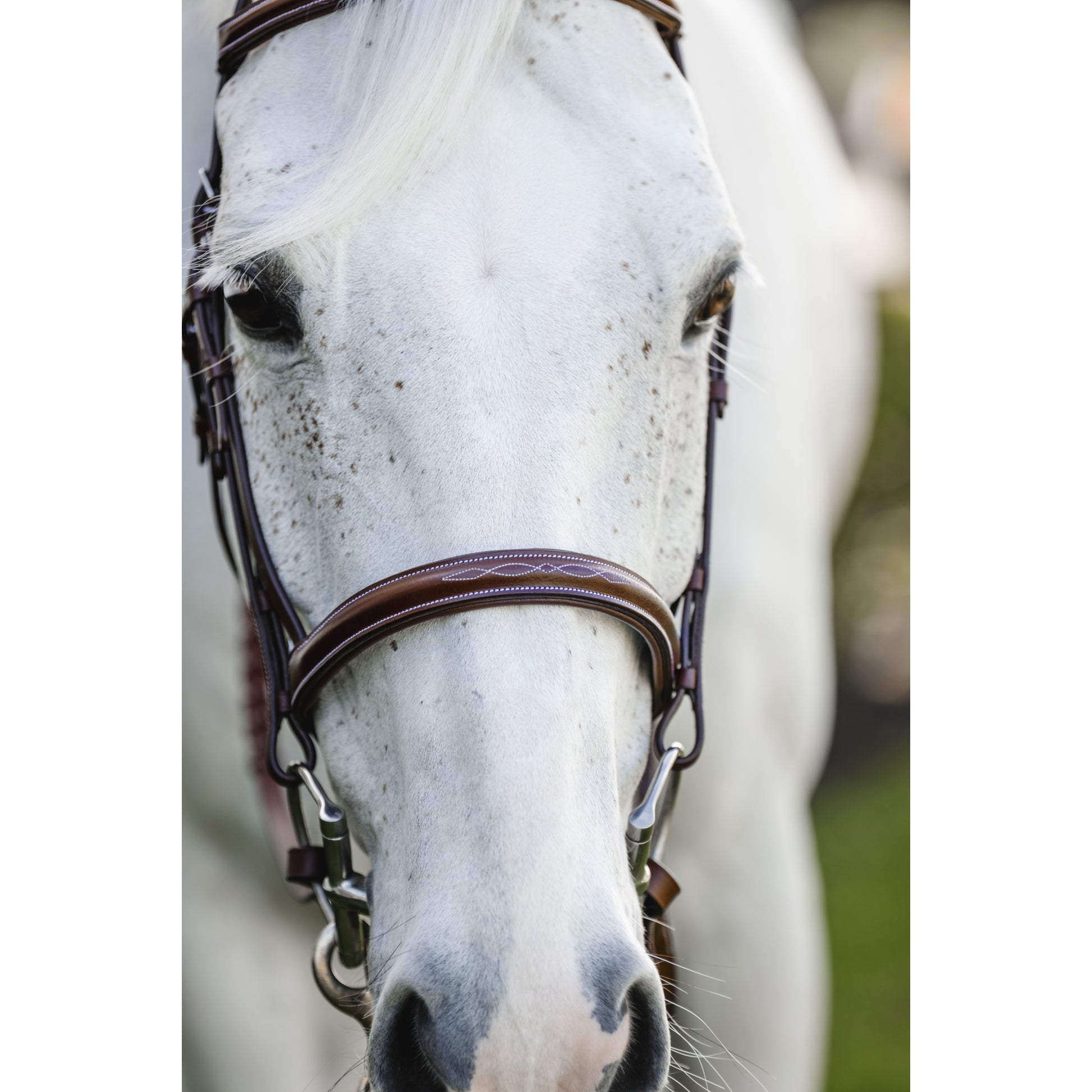 Horseware Hunter Cavesson Bridle