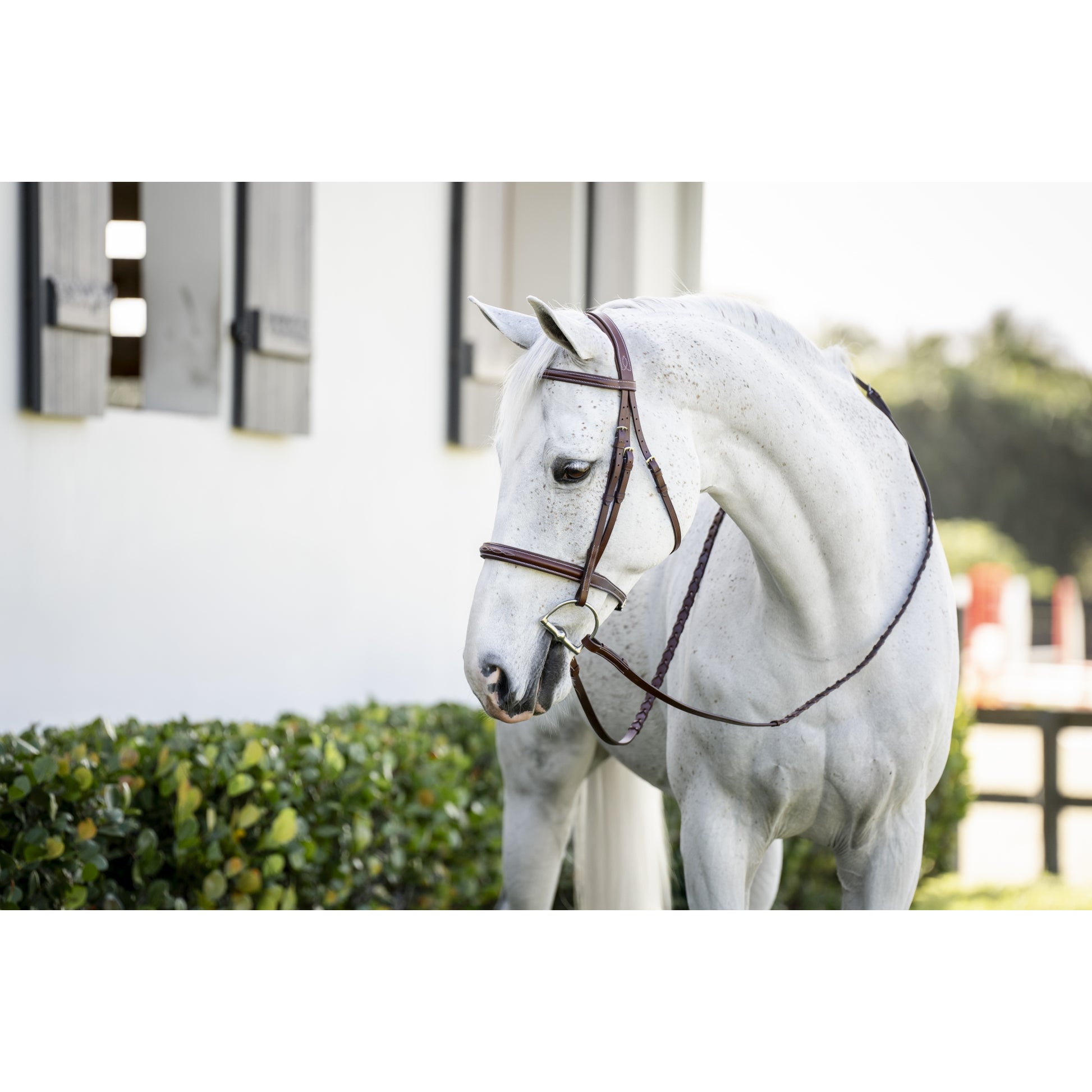 Horseware Hunter Cavesson Bridle