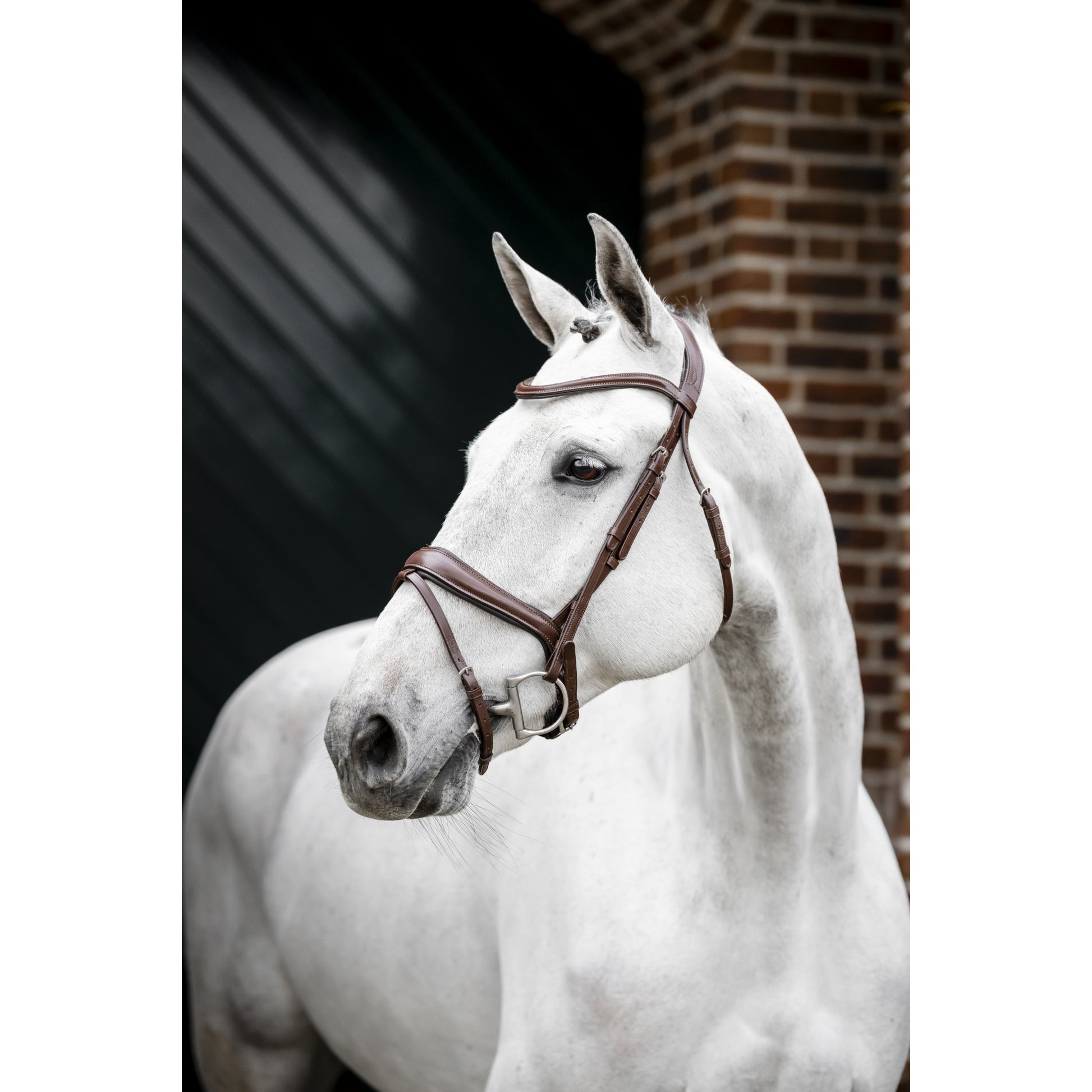 Horseware Dressage Flash Bridle