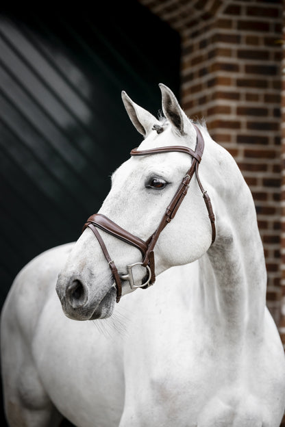 Horseware Dressage Flash Bridle