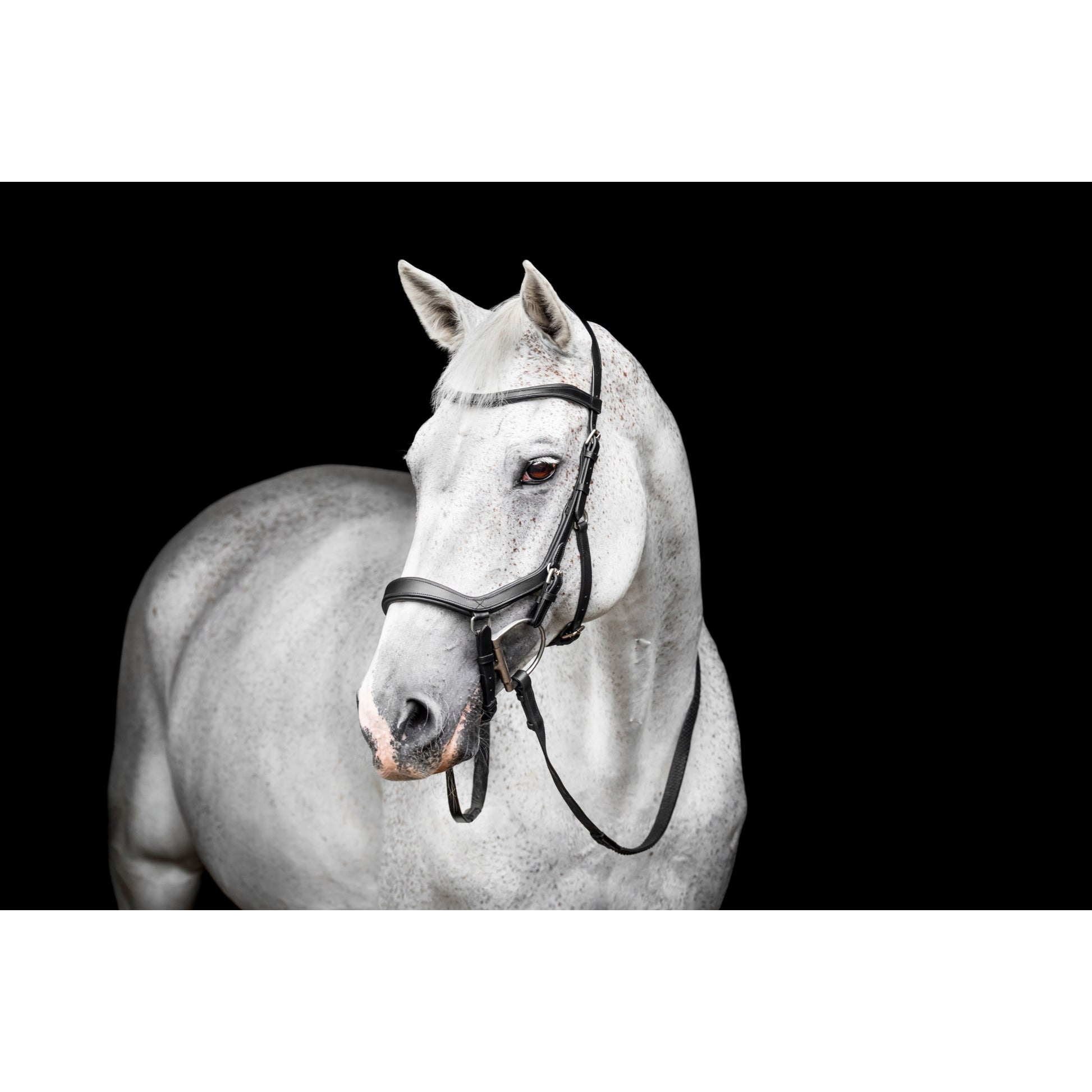 Horseware Micklem Deluxe Competition