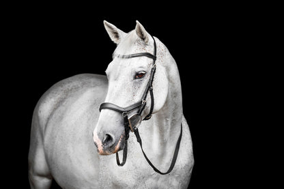 Horseware Micklem Deluxe Competition