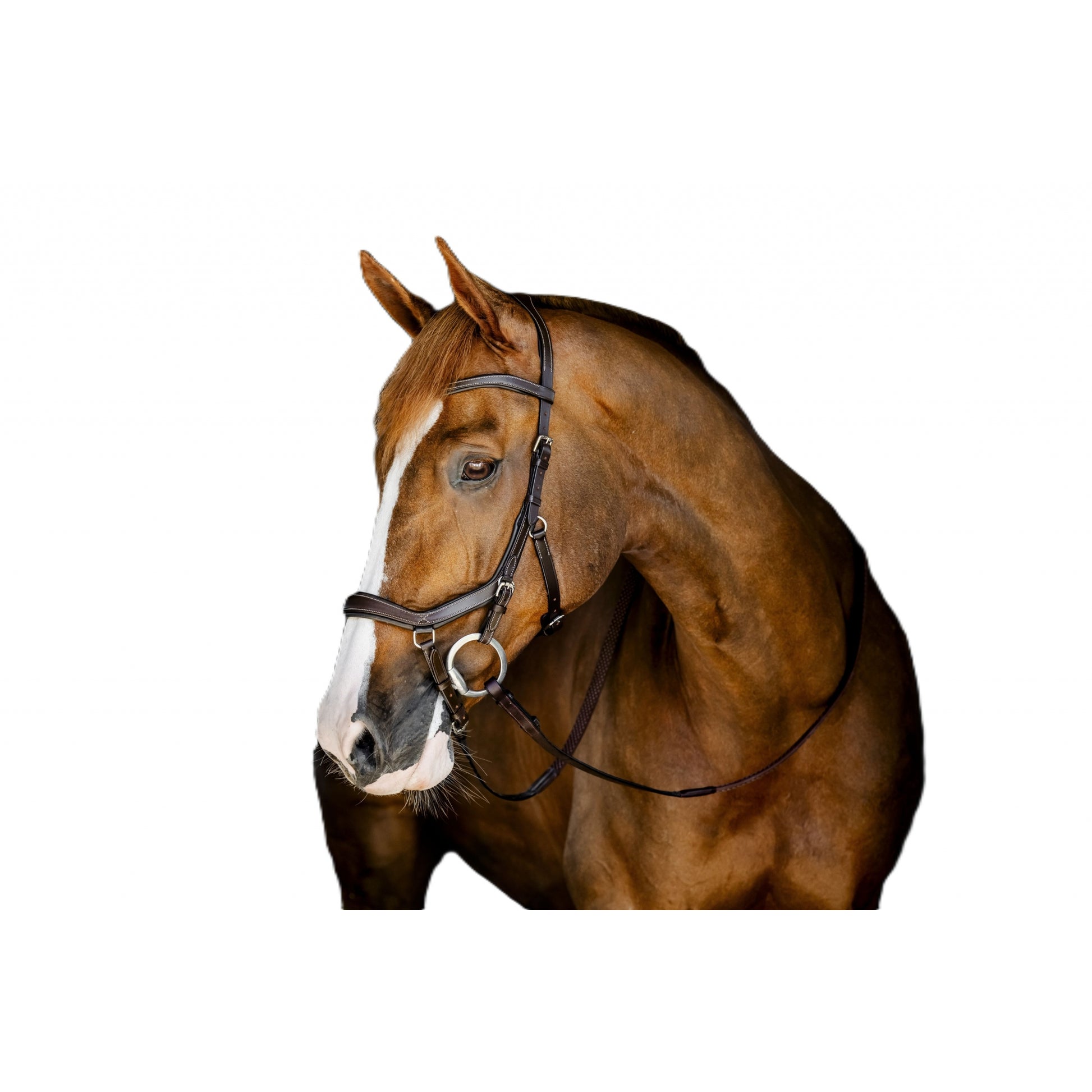 Horseware Micklem Deluxe Competition