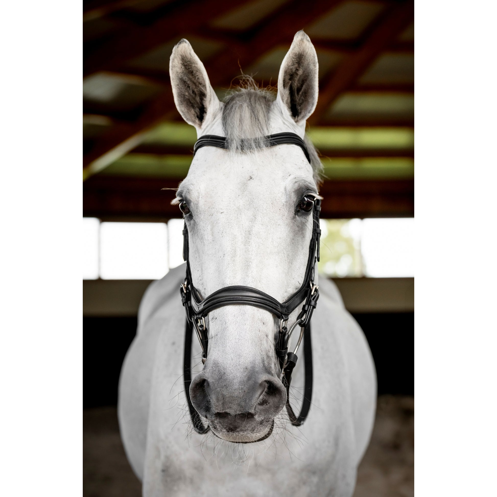 Horseware Micklem Deluxe Competition
