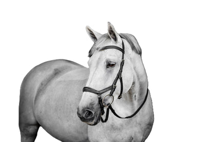 Horseware Micklem Deluxe Competition