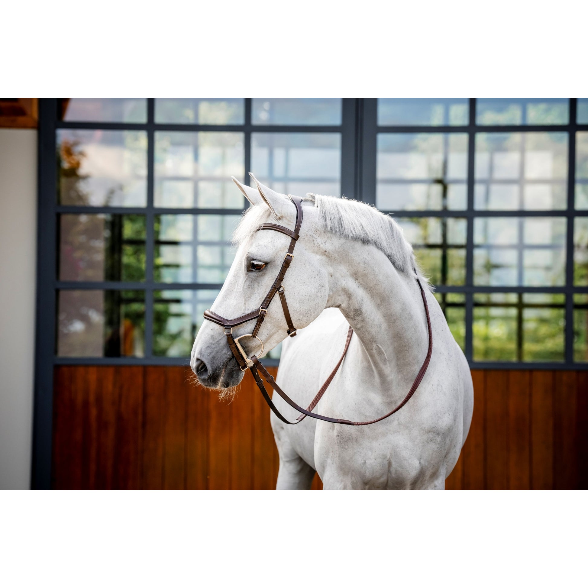Horseware Micklem Deluxe Competition