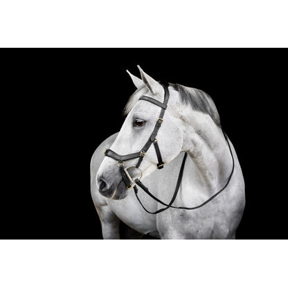 Horseware Micklem Multi Bridle