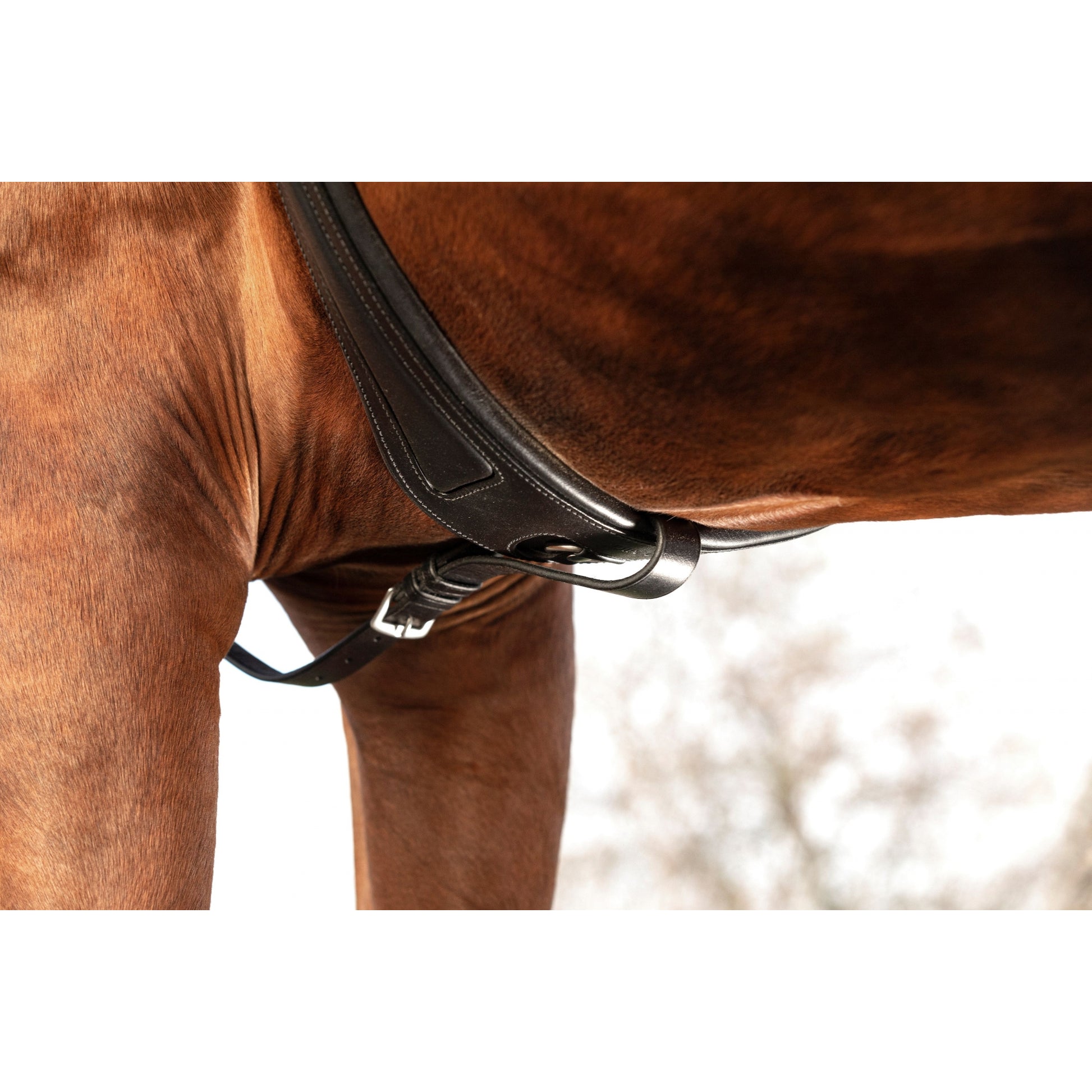 Horseware Micklem Breastplate Martin