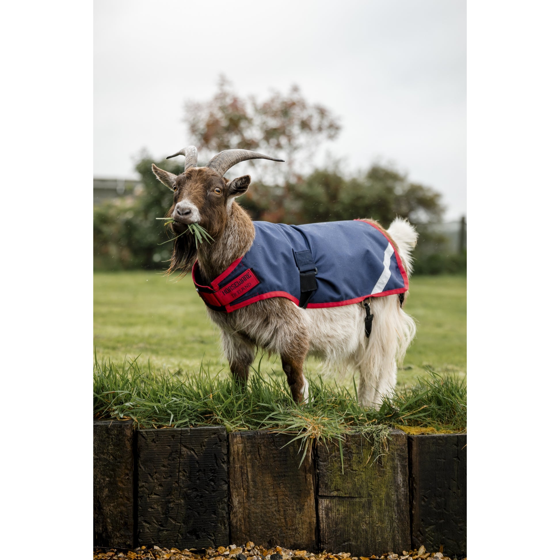 Horseware Goat Coat 0g