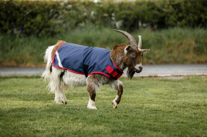 Horseware Goat Coat 200g