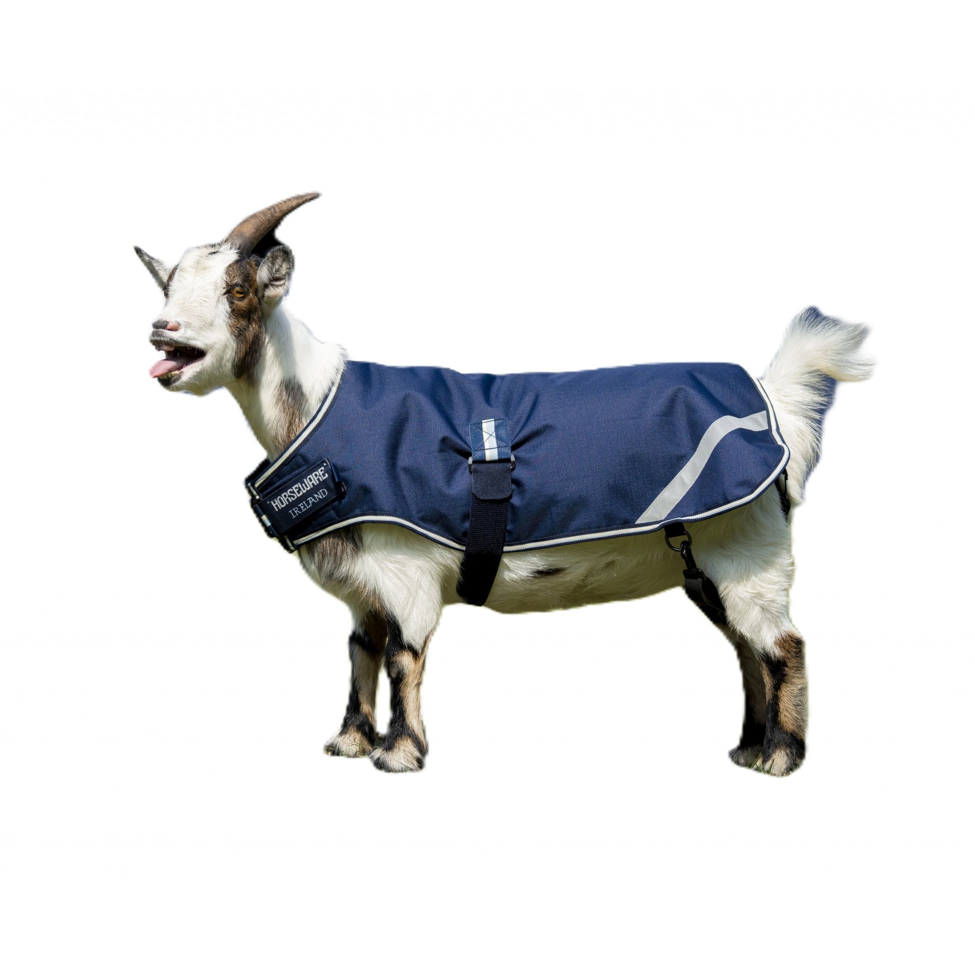 Horseware Goat Coat 200g