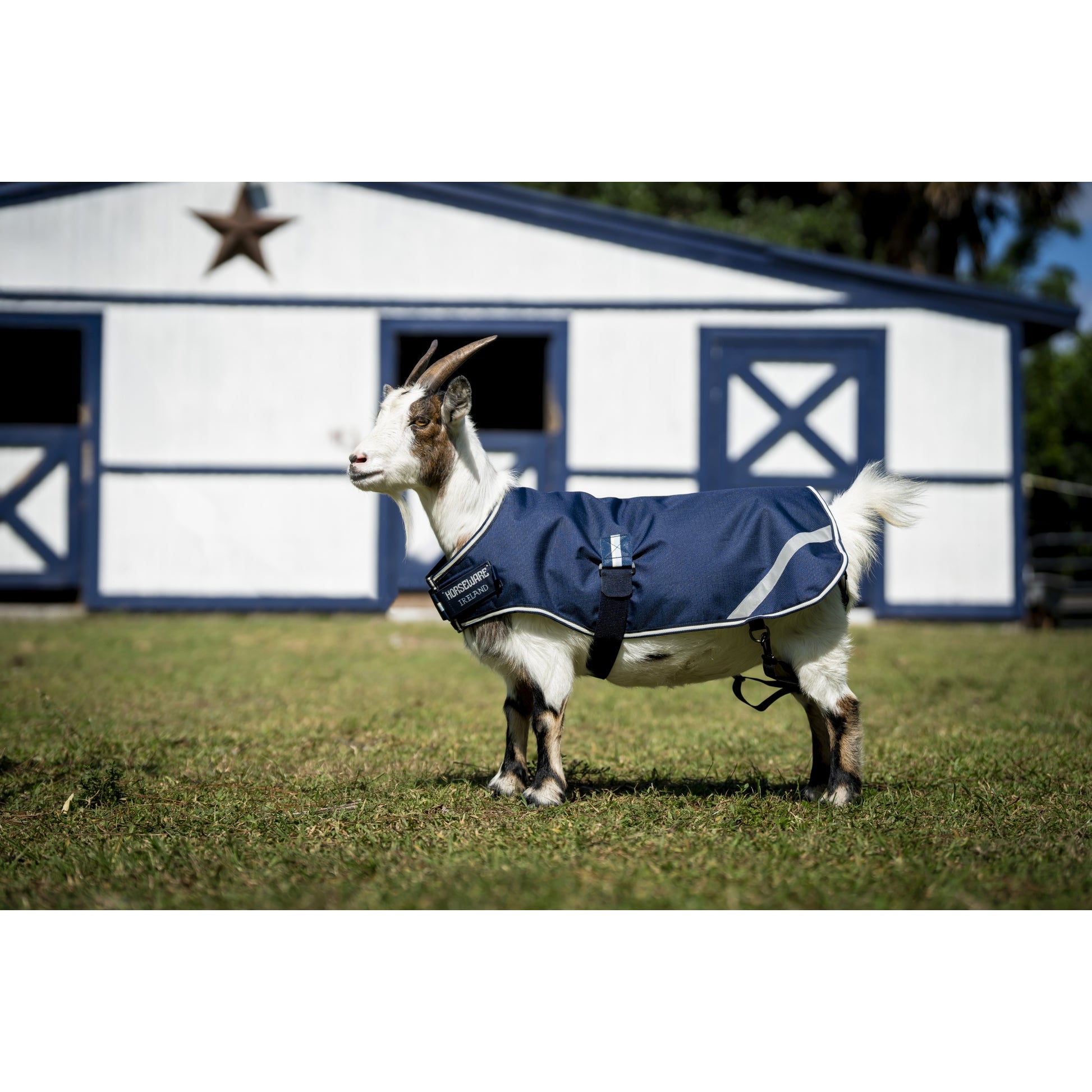 Horseware Goat Coat 0g