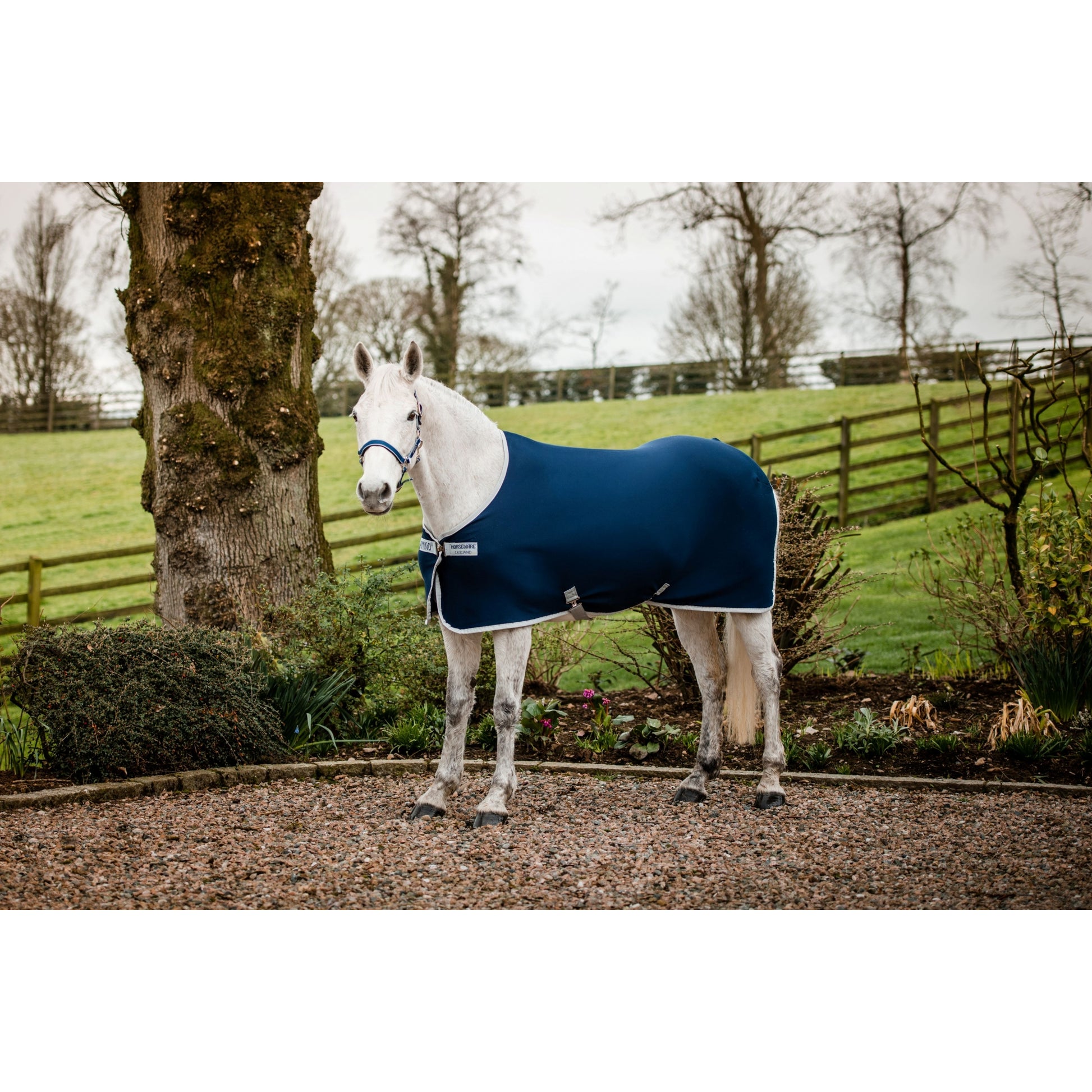Amigo Jersey Pony Cooler