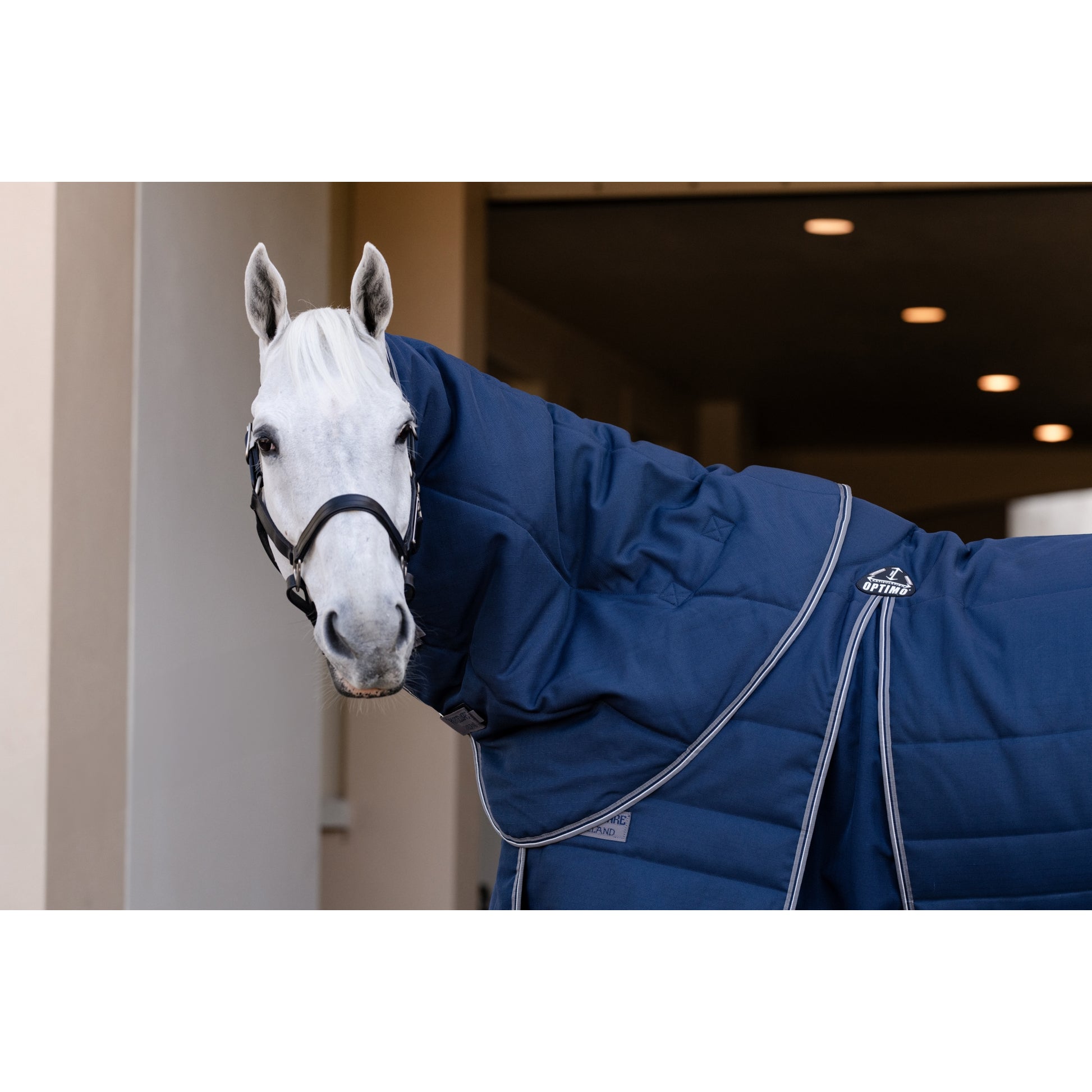 Rambo Optimo Stable Plus 400g