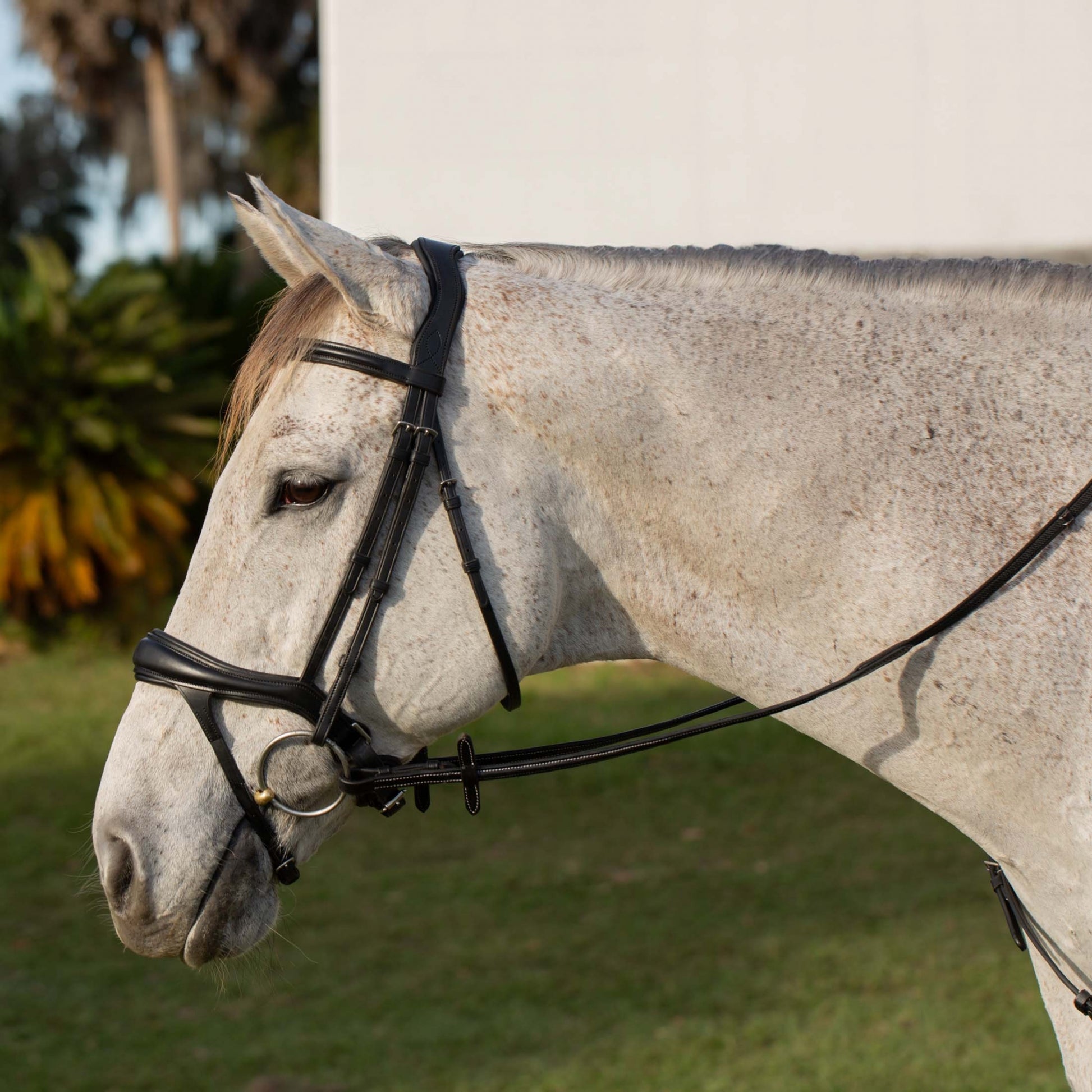 Equinavia Valkyrie Alternative Flash Bridle with Rubber Reins