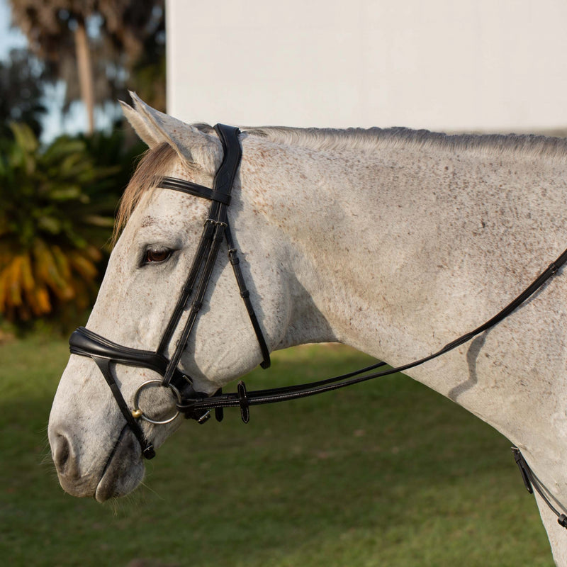 Equinavia Valkyrie Alternative Flash Bridle with Rubber Reins