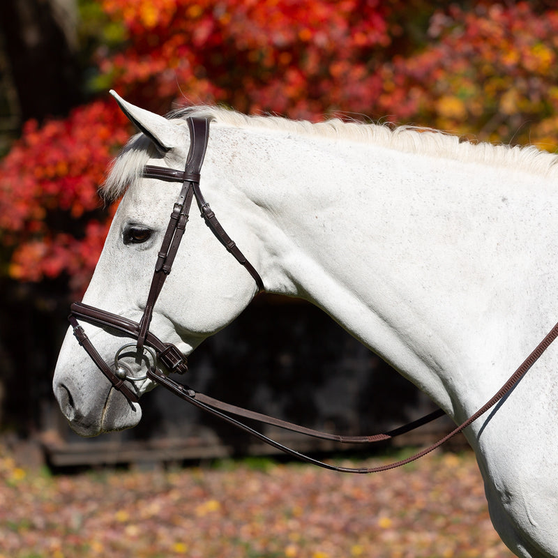 Equinavia Valkyrie Fancy Stitched Jumper Bridle & Rubber Reins