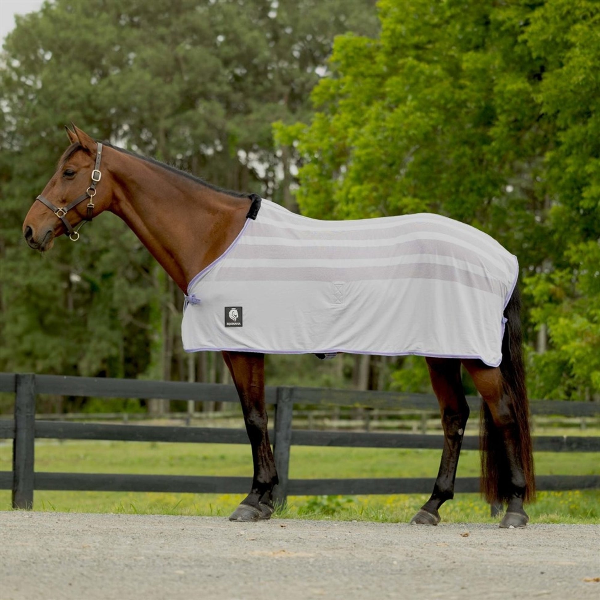 Equinavia Sefyr Scrim Sheet