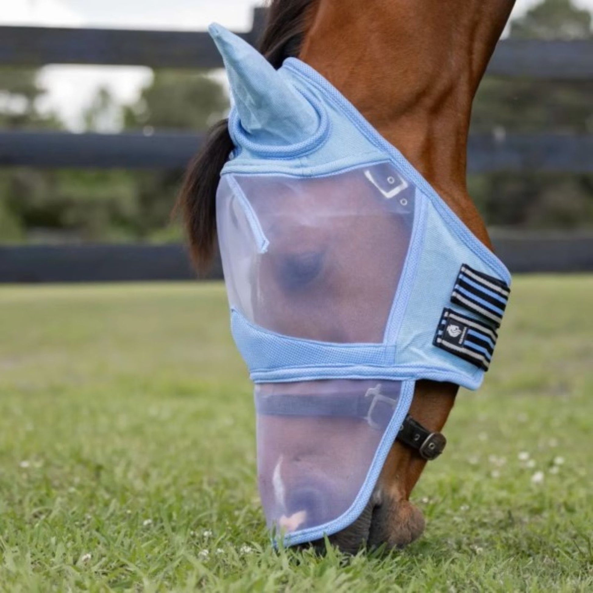 Equinavia Algard Soft Mesh Long Nose Fly Mask