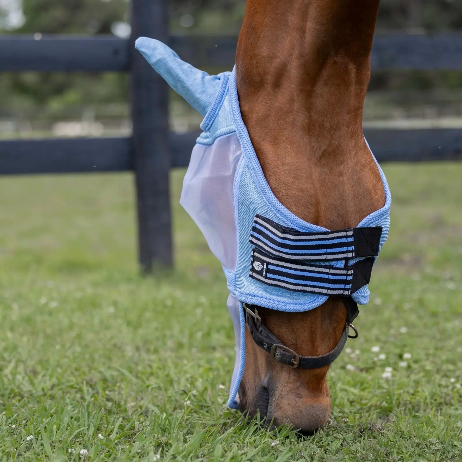Equinavia Algard Soft Mesh Long Nose Fly Mask
