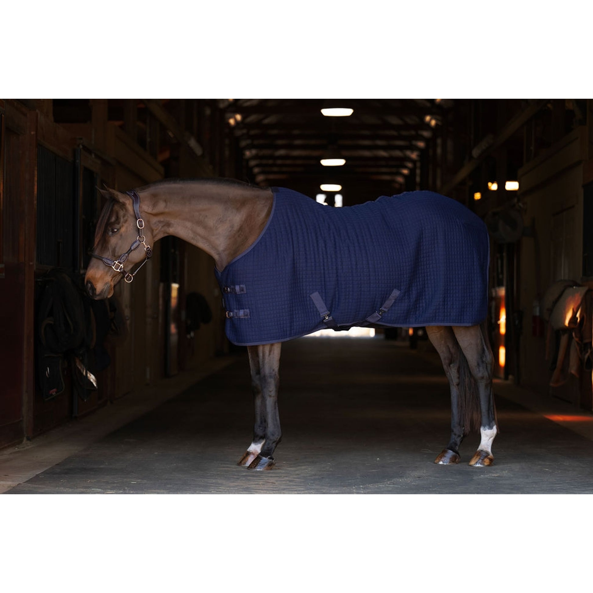 TuffRider ThermoManager Stable Blanket