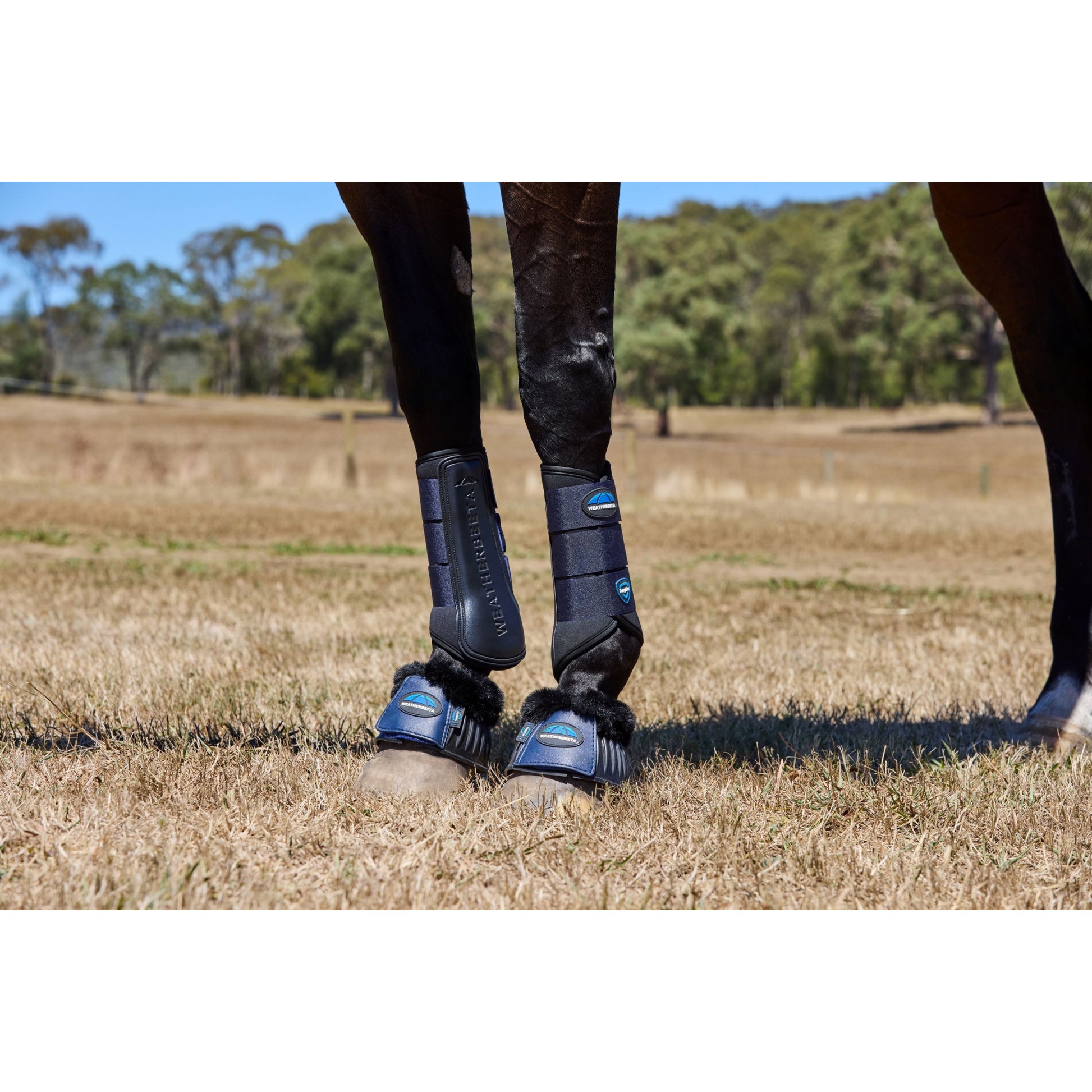 Weatherbeeta Tough-Tec Prime Brushing Boots