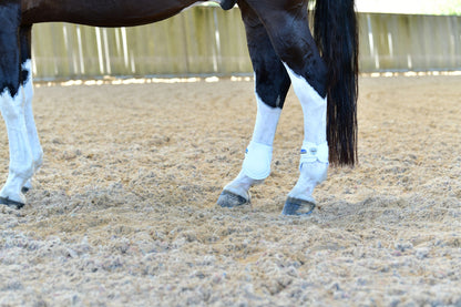 Weatherbeeta Tough-Tec Prime Fetlock Boots
