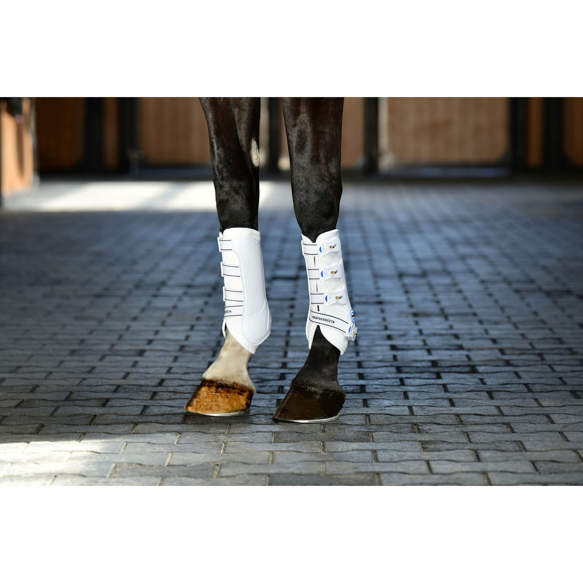 Weatherbeeta Tough-Tec Hard Shell Dressage Boots