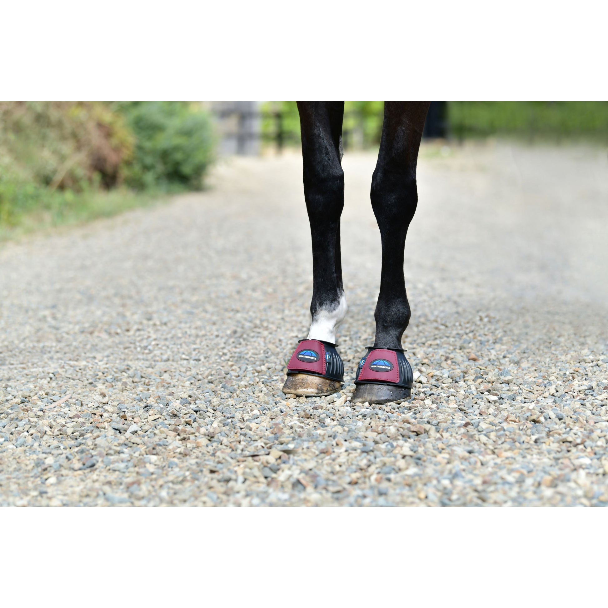 Weatherbeeta Tough-Tec Prime Rubber Bell Boots
