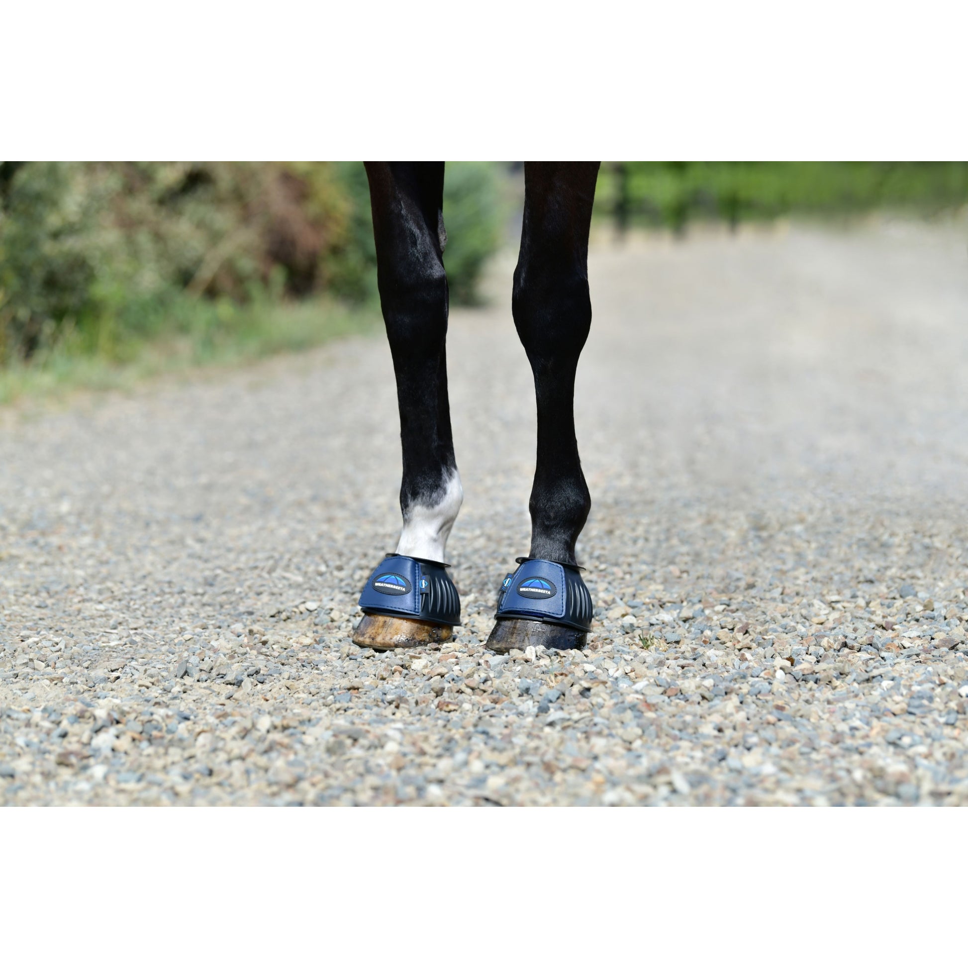Weatherbeeta Tough-Tec Prime Rubber Bell Boots