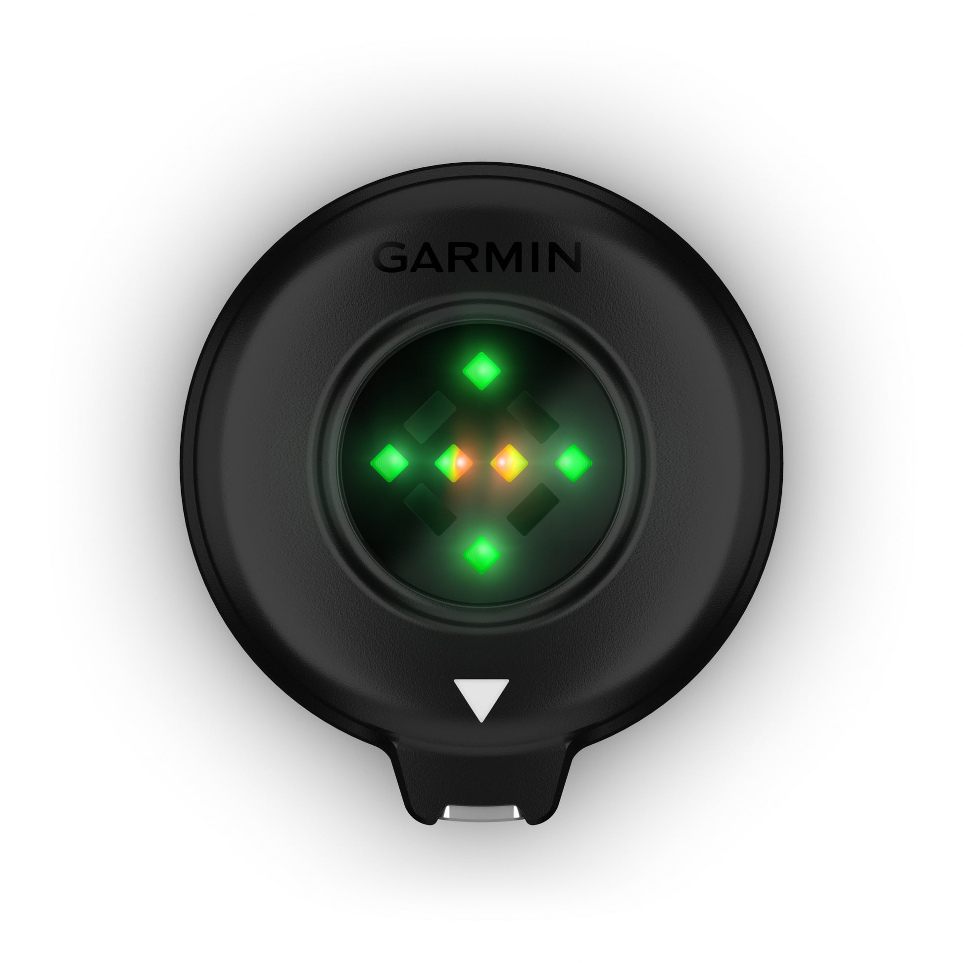 Garmin Blaze Equine Wellness System