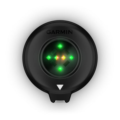 Garmin Blaze Equine Wellness System