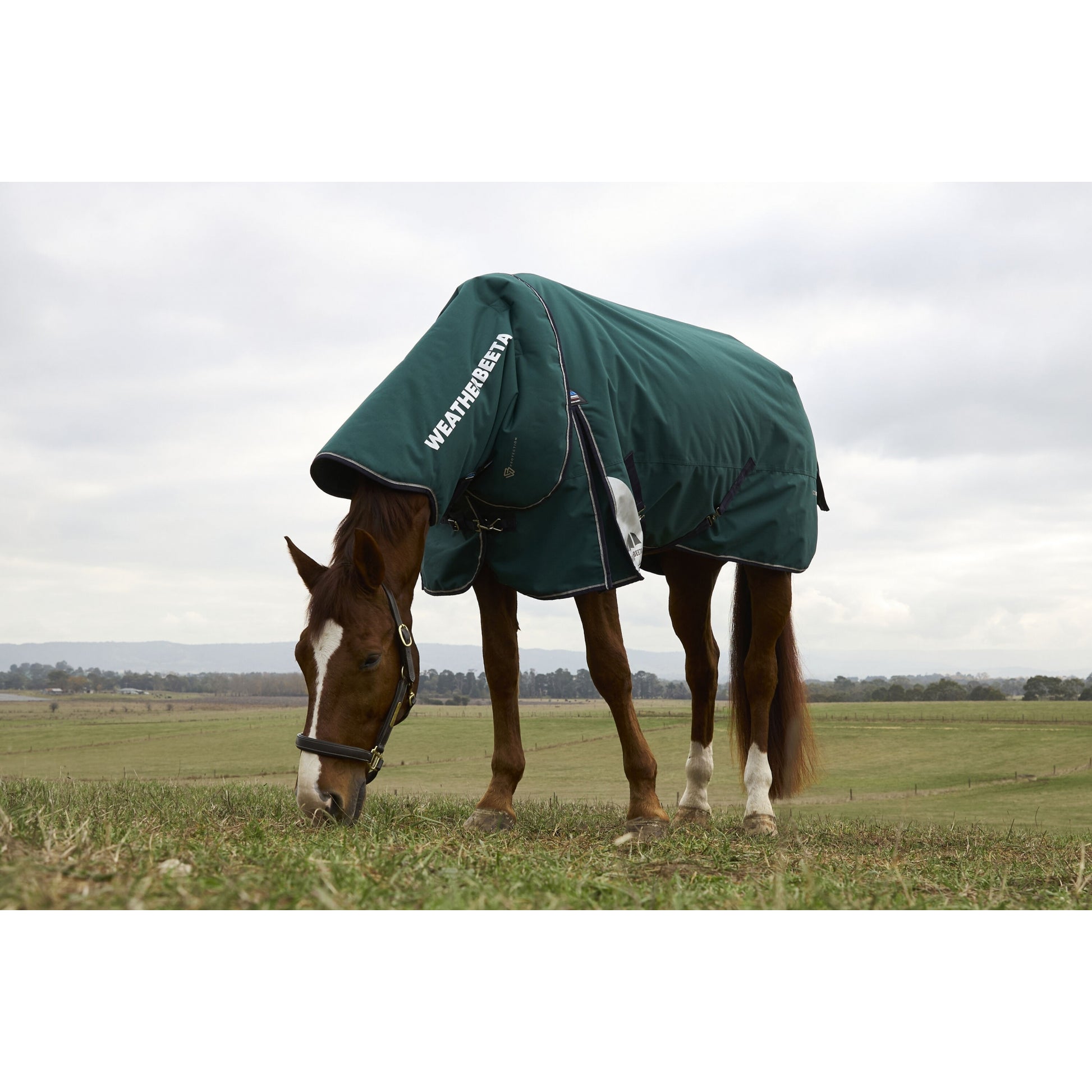 Weatherbeeta ComFiTec Plus Dynamic Turnout Detach-A-Neck 100g