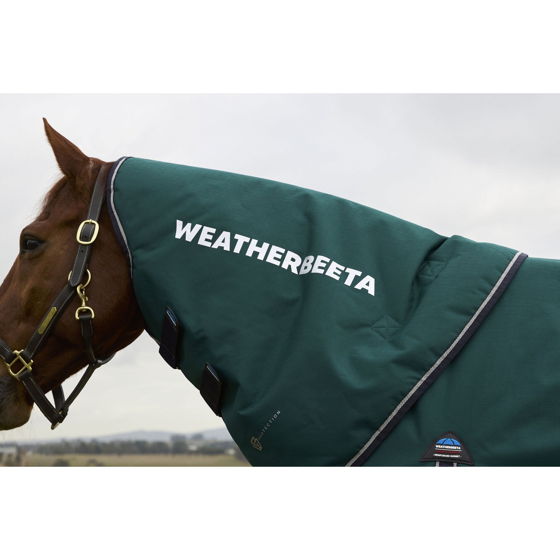 Weatherbeeta ComFiTec Plus Dynamic Turnout Detach-A-Neck 100g