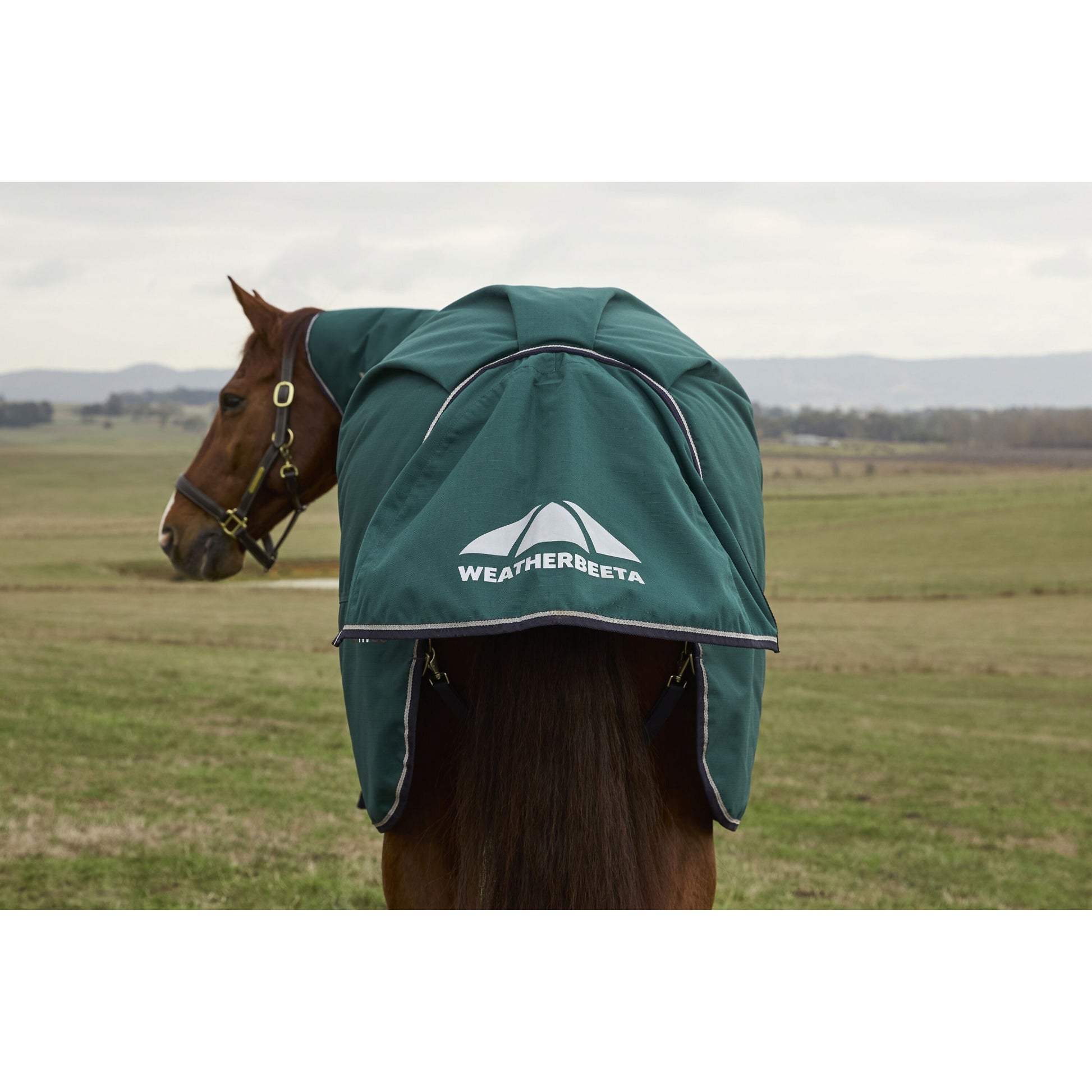 Weatherbeeta ComFiTec Plus Dynamic Turnout Detach-A-Neck 100g