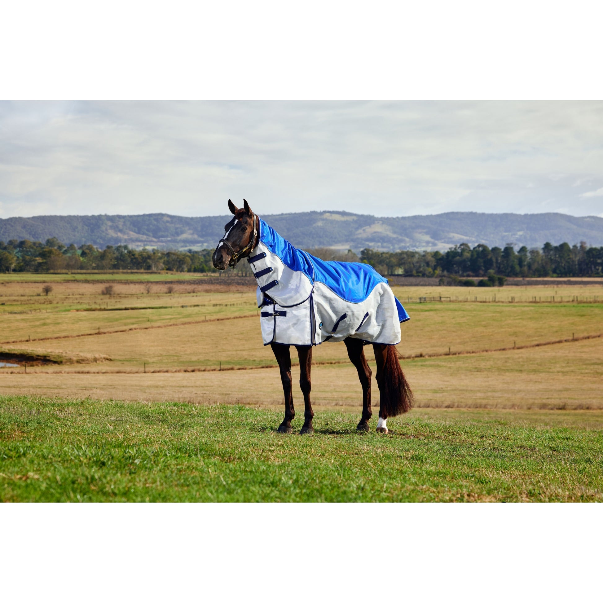 Weatherbeeta ComFiTec Duo Shield Detach-A-Neck