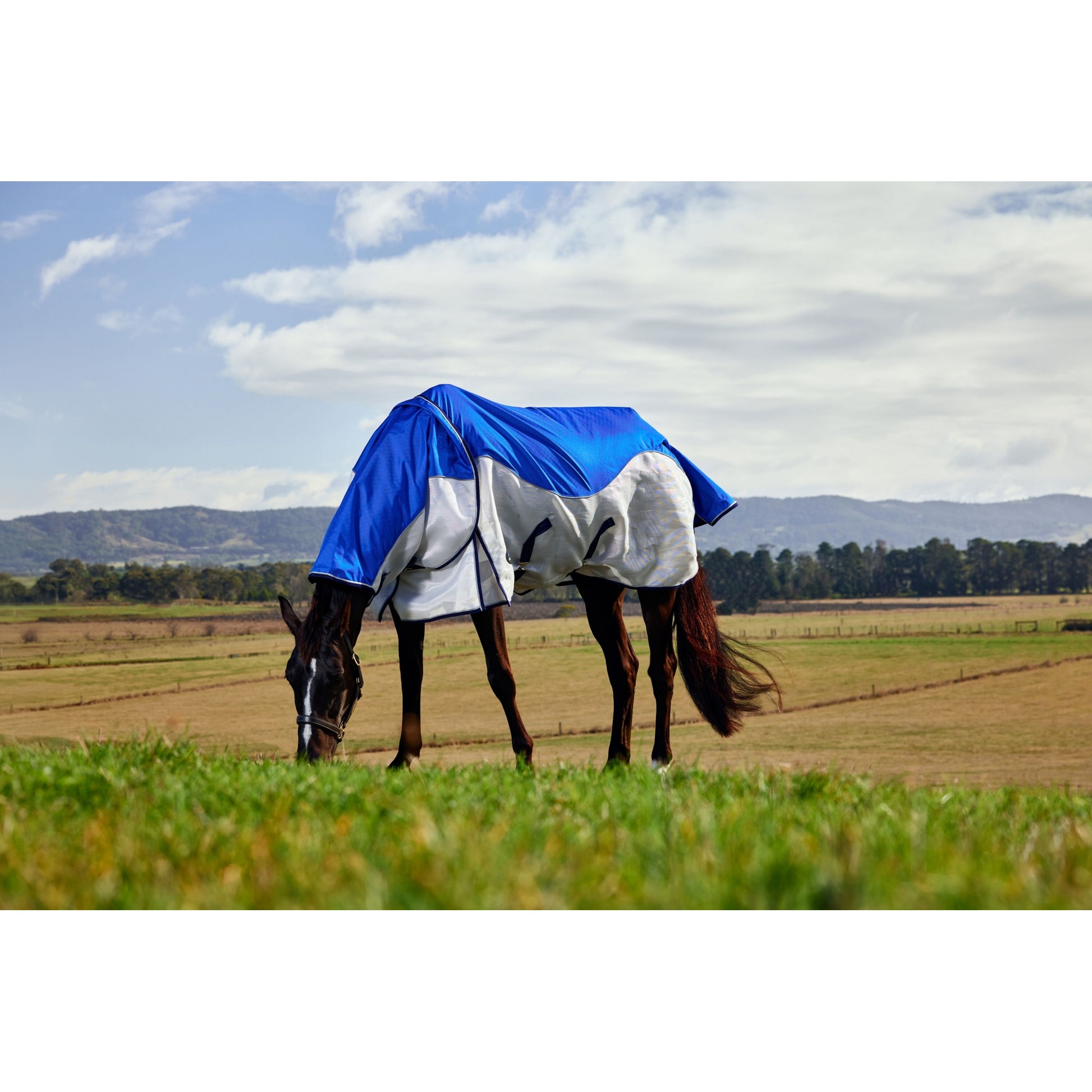 Weatherbeeta ComFiTec Duo Shield Detach-A-Neck