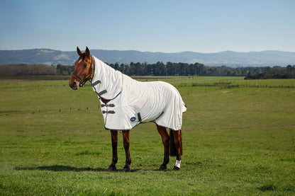 Weatherbeeta ComFiTec Tyro Fly Sheet Combo