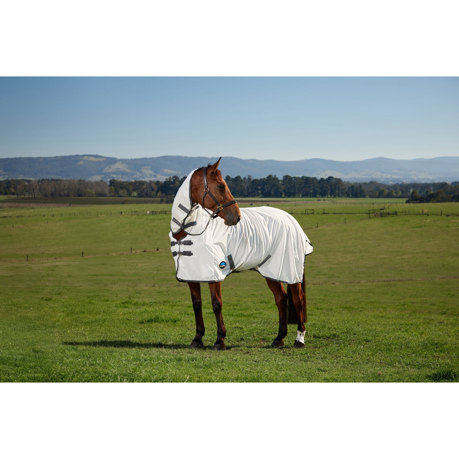 Weatherbeeta ComFiTec Tyro Fly Sheet Combo