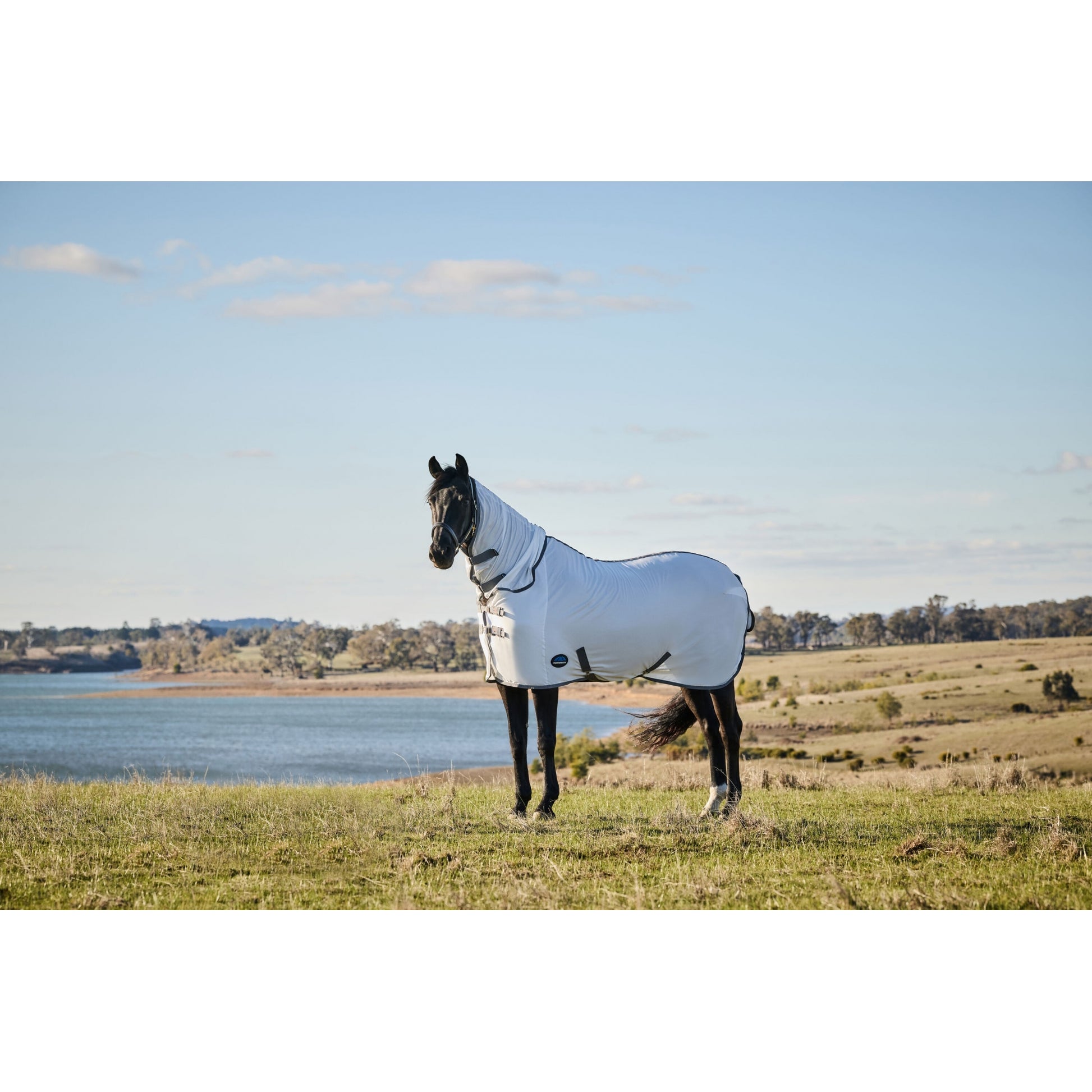 Weatherbeeta ComFiTec Tyro Fly Sheet Combo