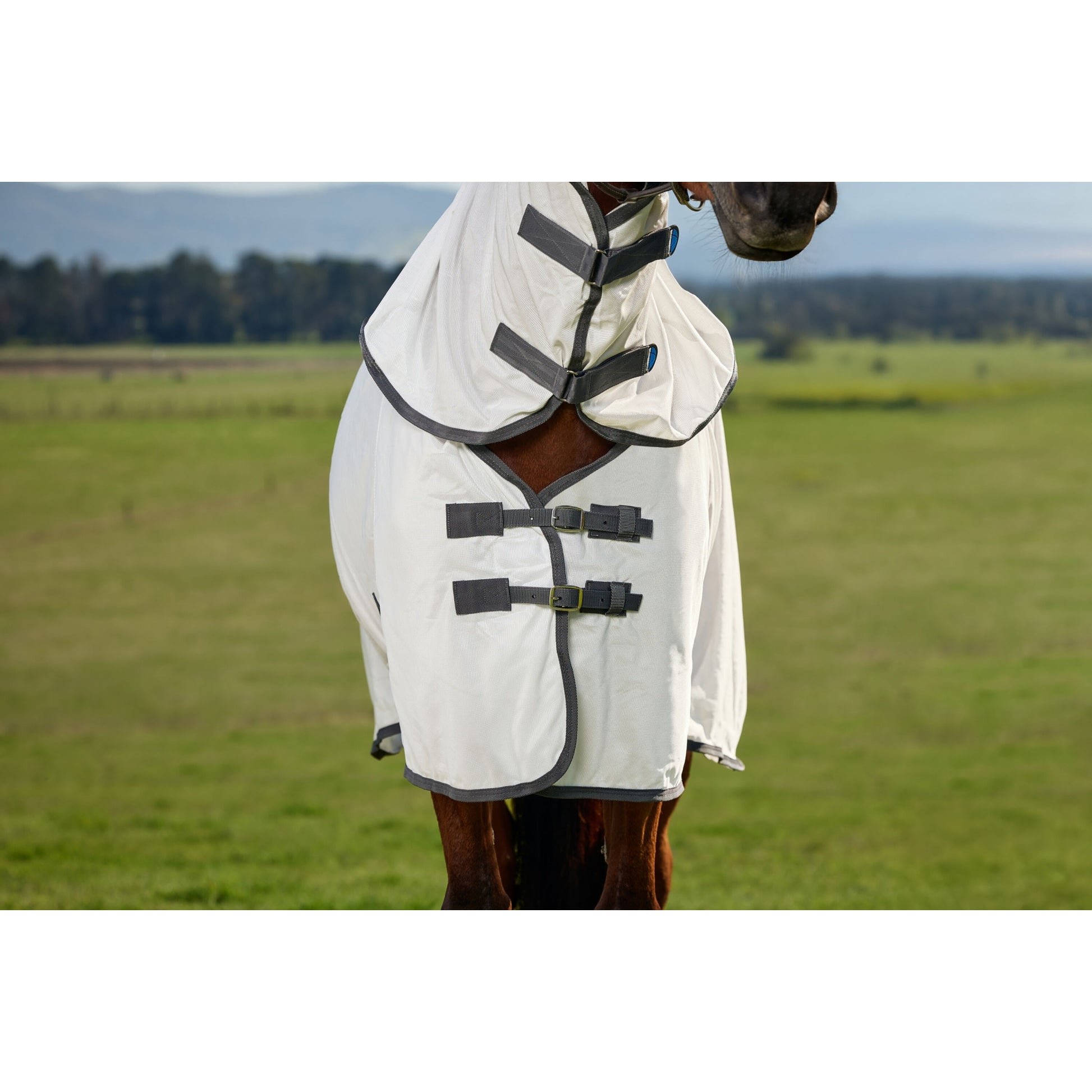 Weatherbeeta ComFiTec Tyro Fly Sheet Combo