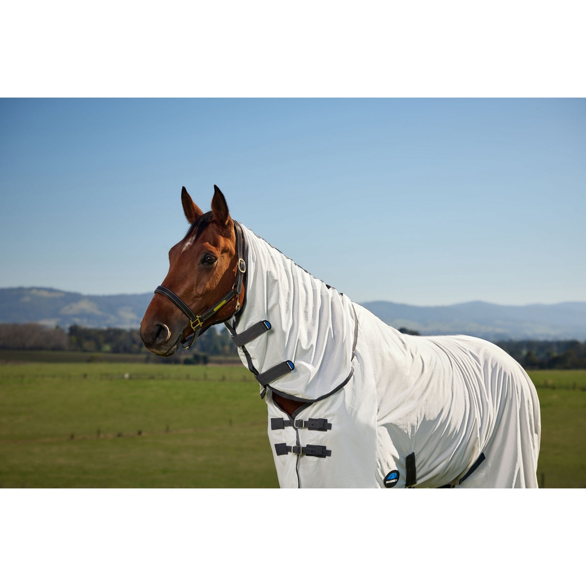 Weatherbeeta ComFiTec Tyro Fly Sheet Combo