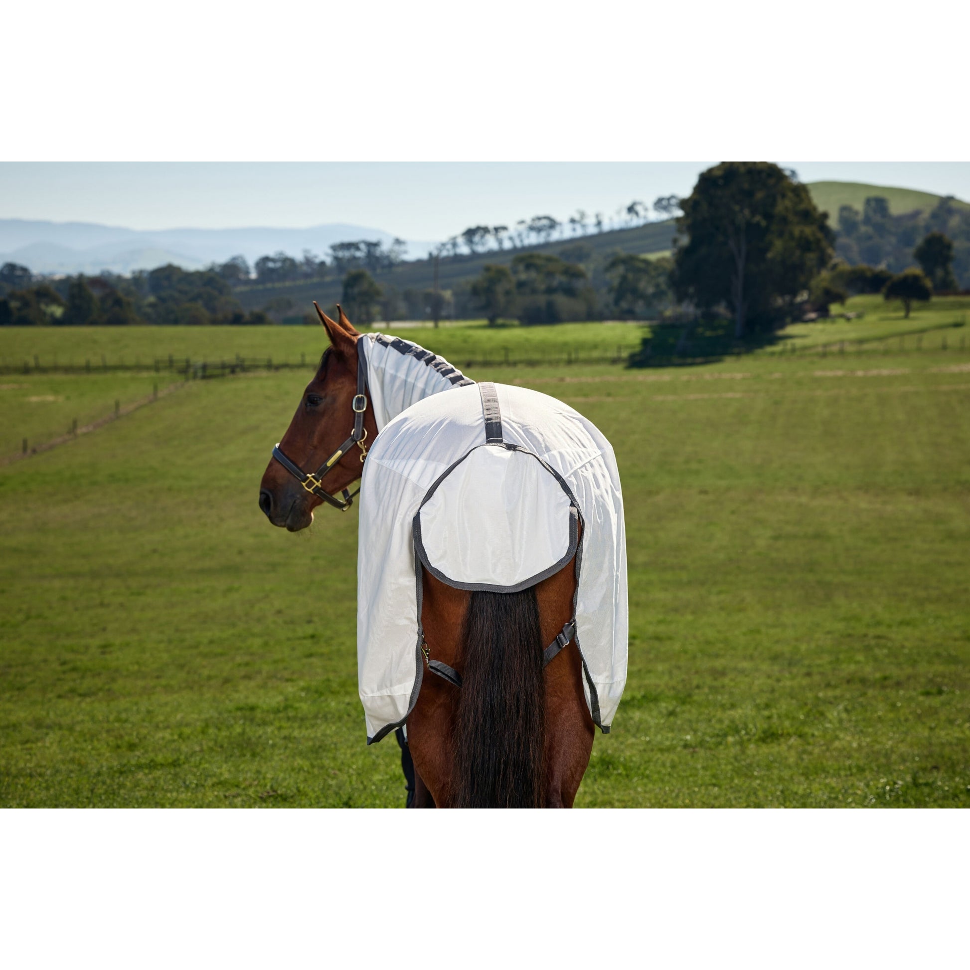 Weatherbeeta ComFiTec Tyro Fly Sheet Combo