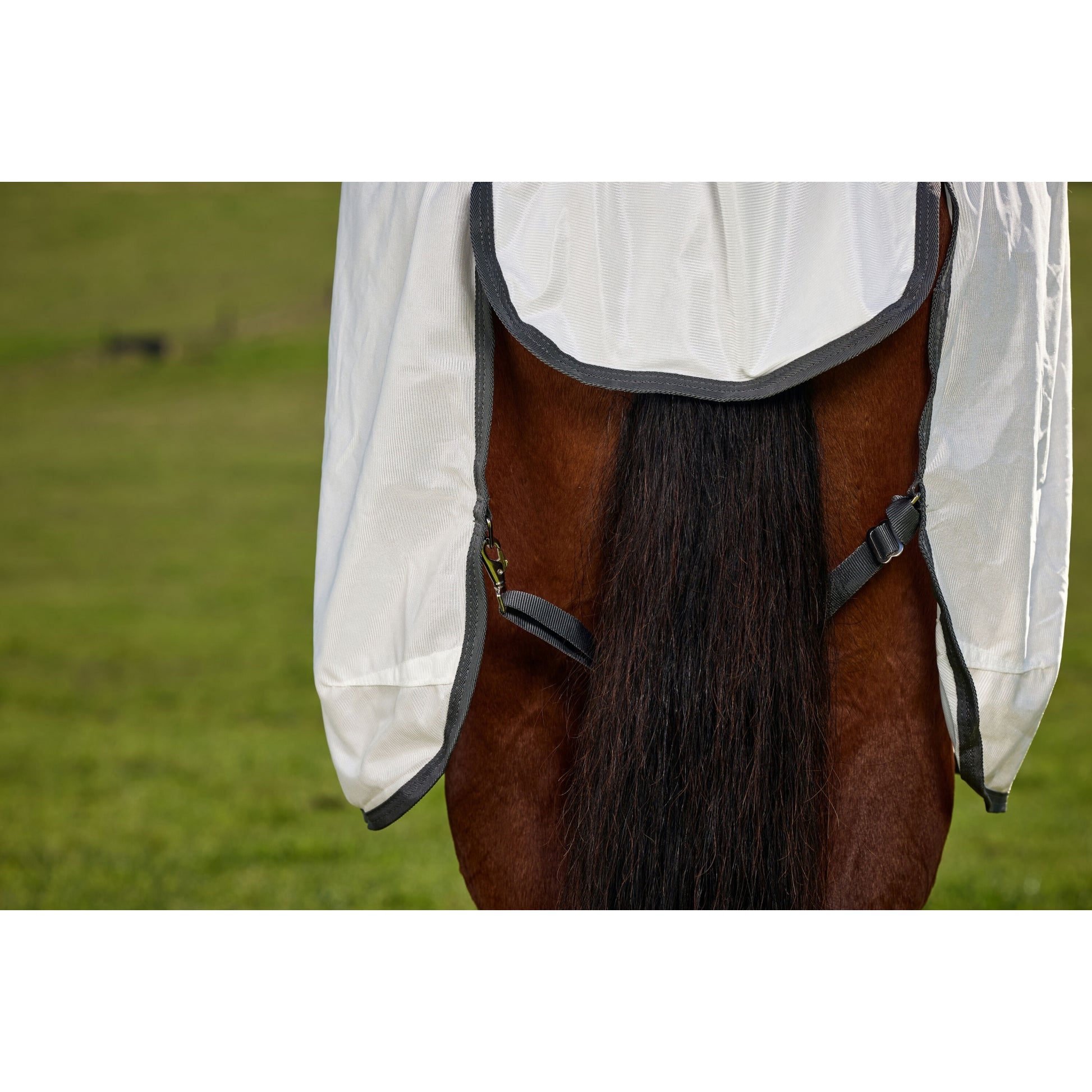 Weatherbeeta ComFiTec Tyro Fly Sheet Combo