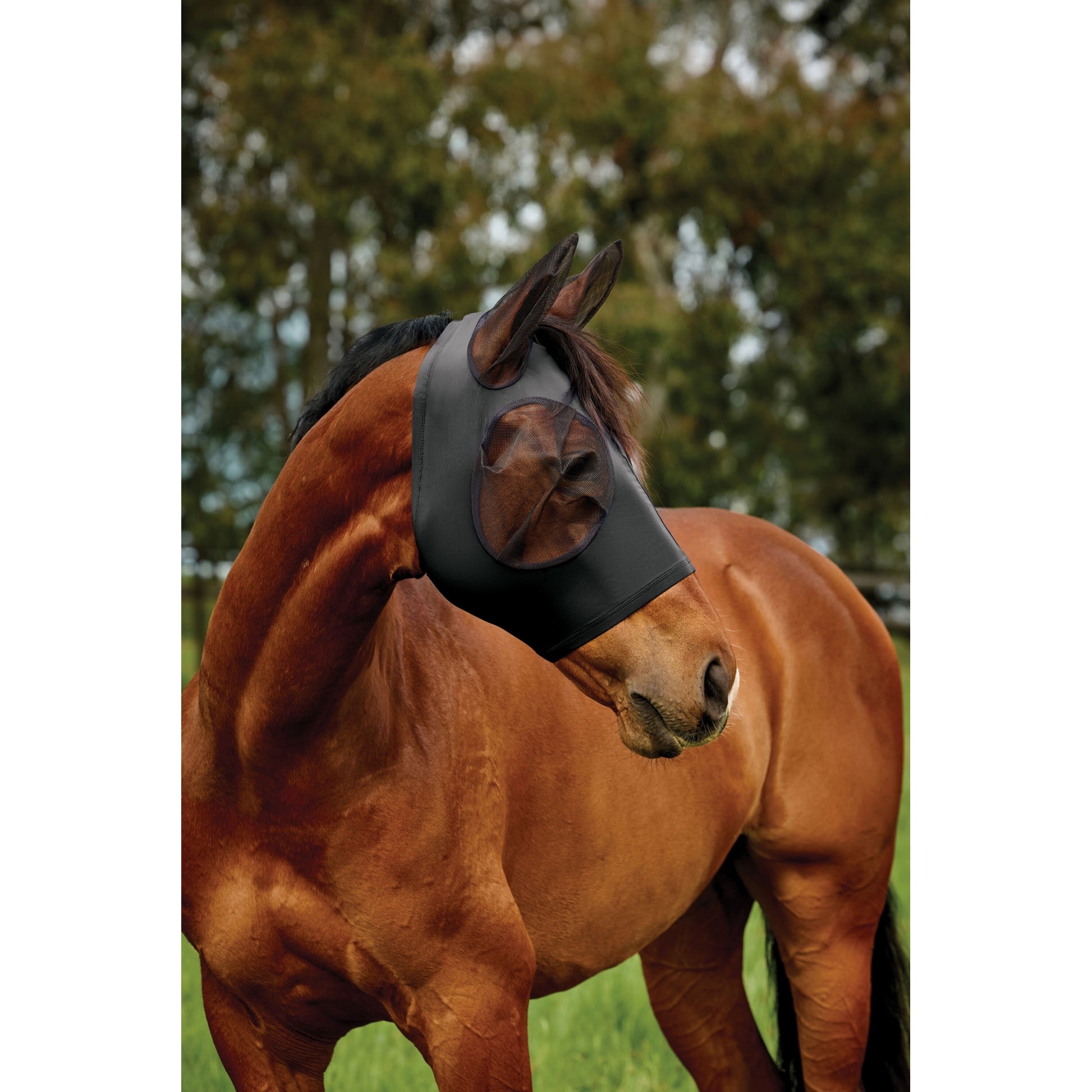 Weatherbeeta ComFiTec Deluxe Stretch Fly Mask with Ears