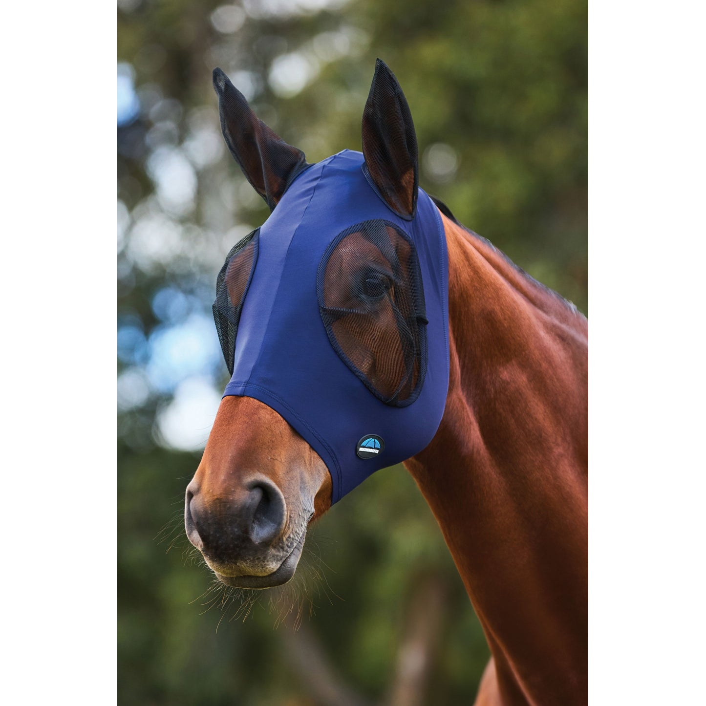 4-493030-01.jpg
