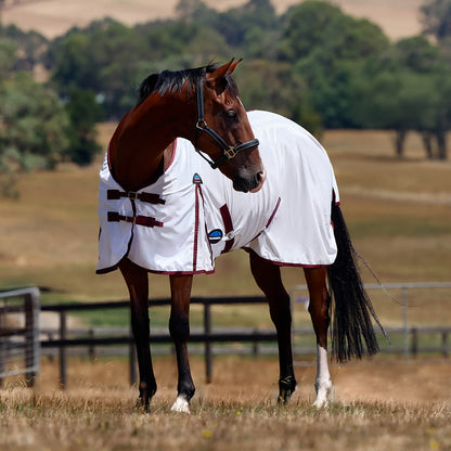 Weatherbeeta ComFiTec Essential Fly Sheet
