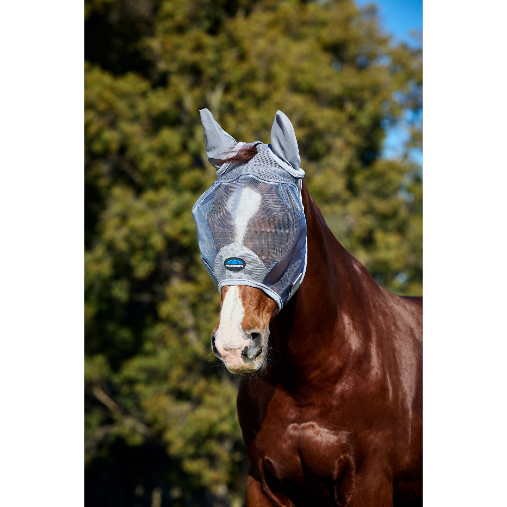 Weatherbeeta ComFiTec Durable Mesh Fly Mask with Ears
