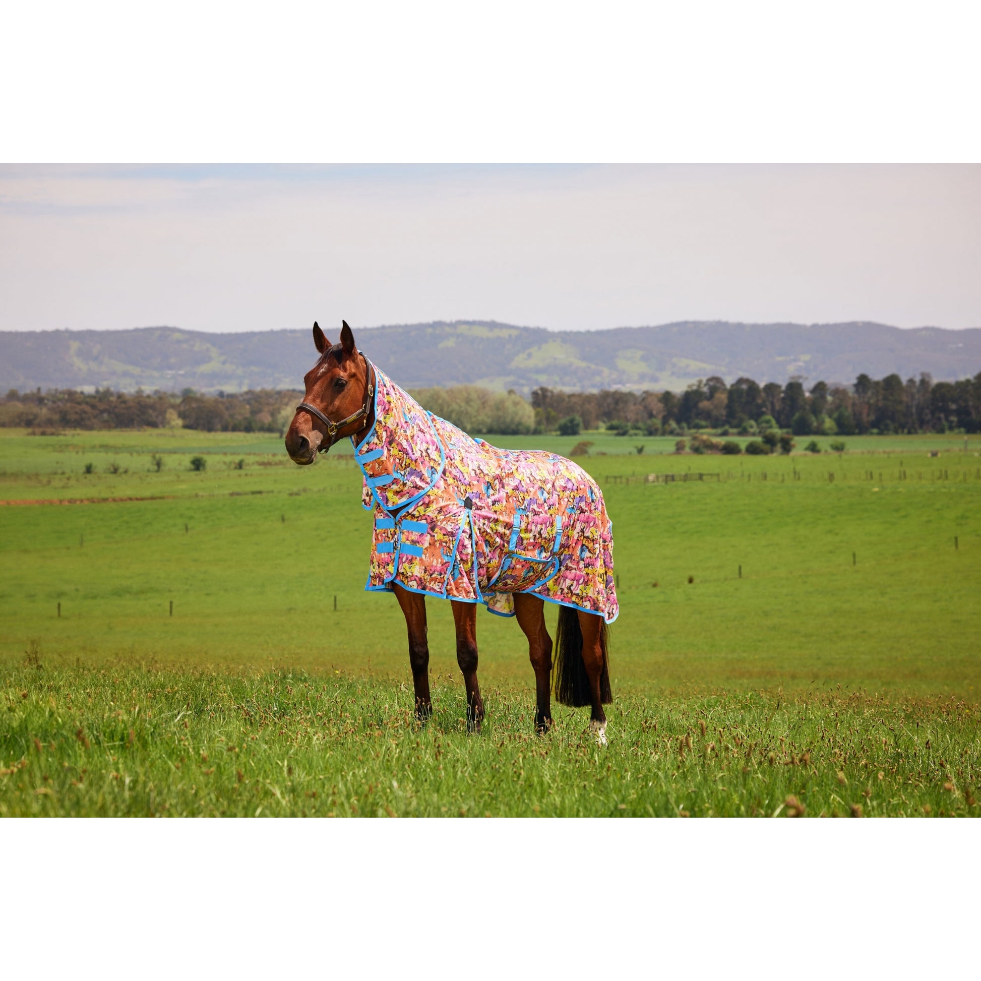 Saxon Mesh Combo Neck Fly Sheet