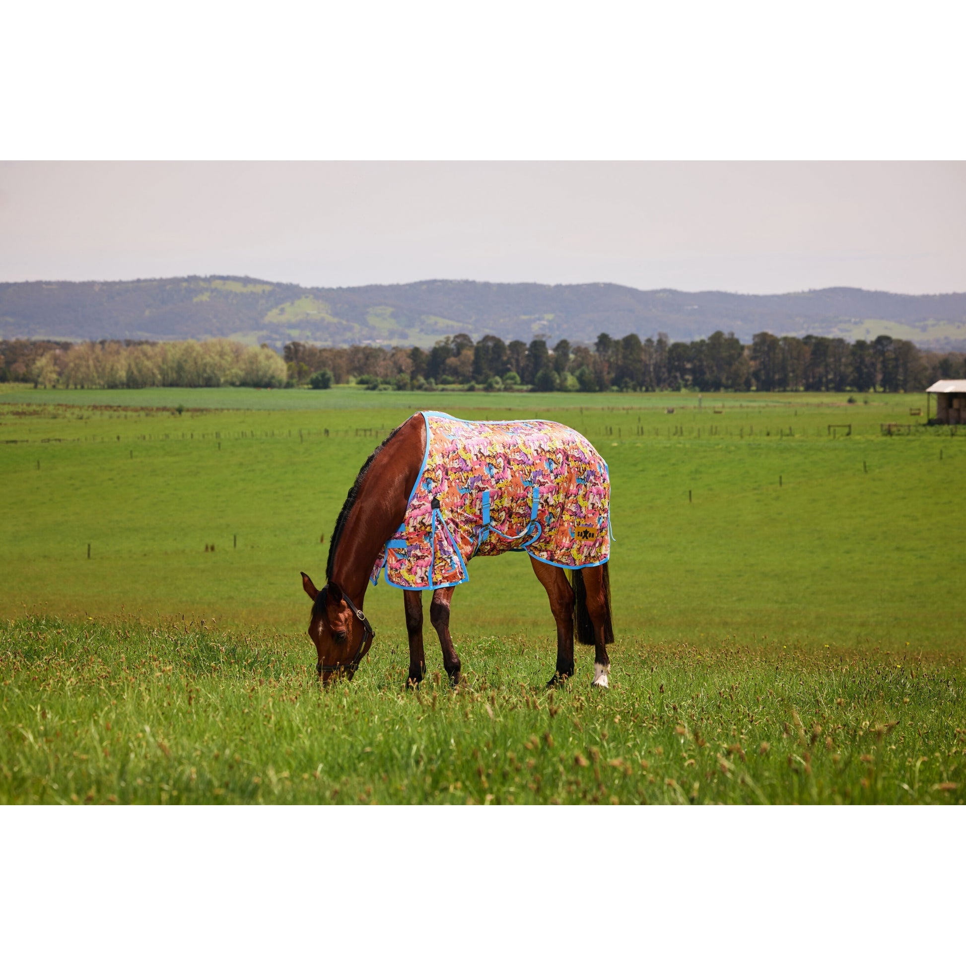 Saxon Mesh Fly Sheet Standard Neck